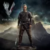 Vikings Attacked