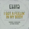 About I Got a Feelin' in My Body (Tommie Sunshine & Wuki Remix) Song