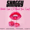 About Habibi Love (I Need Your Love) Song