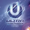 Ultra Music Festival 2015 (Continuous Mix)