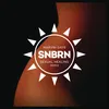 About Sexual Healing SNBRN Radio Remix Song