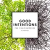 About Good Intentions Song