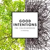 Good Intentions