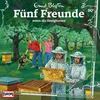 090 - retten die Honigbienen (Teil 15)