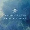 About Drive All Night Song