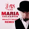 About Maria Salvador Molella vs. Wlady Remix Song