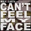 About I Can't Feel My Face Song