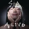 About Alive Song