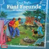 113 - und das Feuer auf der Felseninsel (Teil 02)