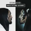 About I Love It When You Cry (Moxoki) (Steve Aoki Es Vedra Remix) Song