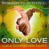 About Only Love (Luca Schreiner Island House Mix) Song