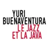 About Le jazz et la java Song