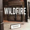 About Wildfire Song