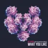 About What You Like Song