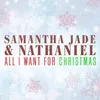 About All I Want For Christmas Is You Song