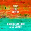 About Fight Like Lovers Song