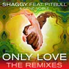 Only Love (Mickey Humphrey Remix)