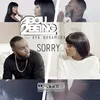 About Sorry Song