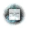 About New York City Song