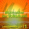 About Kreuz Birnbaum Hollerstaudn Song