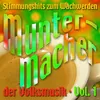 About Die lustigen Holzhackerbuam Song