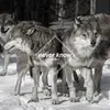 About Never Know (Few Wolves VIP remix) Song