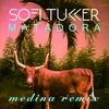 About Matadora Medina Remix Song
