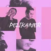 About Pelikaner med Arif Song