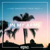 About In My Arms Song
