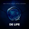 About De Life Song