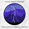 This Is What You Came For (Dillon Francis Remix)