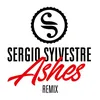 Ashes (Danilo Seclì Remix)