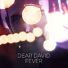 About Fever Song