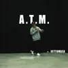 About A.T.M. Song