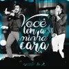 About Você Tem a Minha Cara-Ao Vivo Song