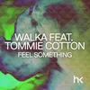About Feel Something Song