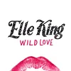 About Wild Love Song