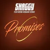 About Promises Song