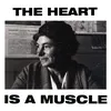 About The Heart Is a Muscle Song