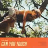 About Can You Touch Song