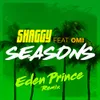 About Seasons (Eden Prince Remix) Song