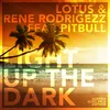 Light up the Dark (Trillogee Remix)