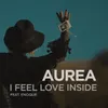About I Feel Love Inside Song