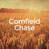 About Cornfield Chase (Piano-Cello Version) Song