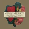 About Mexicana Hermosa Versión Mariachi Song