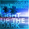 Light up the Dark (Flip Capella Remix)