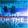 Light up the Dark (Nizami Plus Remix)