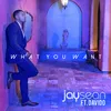 About What You Want Song