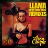 Llama In My Living Room NERIB & TESERO Remix