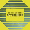 About Aftershock Song